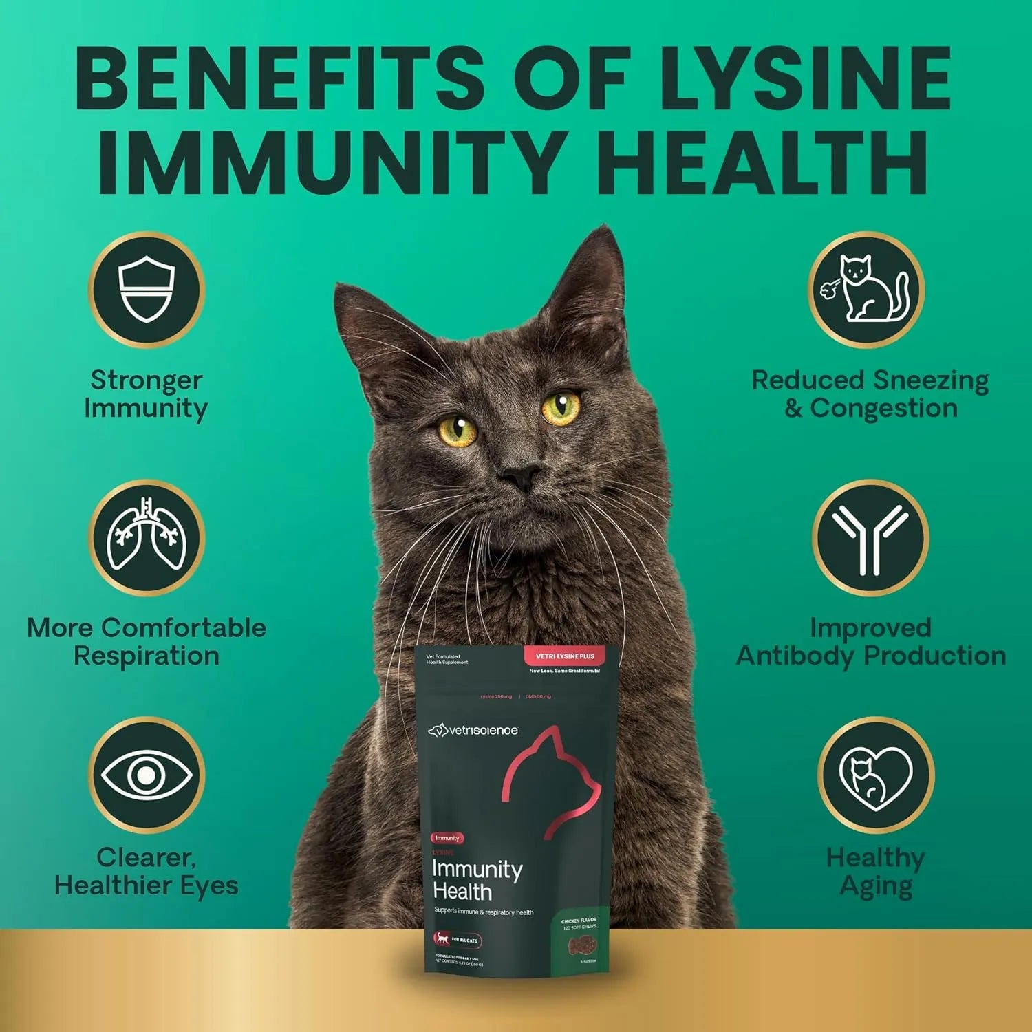 VetriScience Lysine Immunity Health Chews supporting immune health, respiratory wellness, and overall vitality in cats.