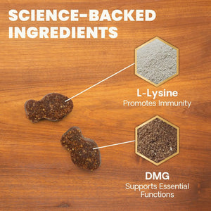VetriScience Lysine Immunity Health Chews ingredients including L-Lysine and DMG for immune support in cats.