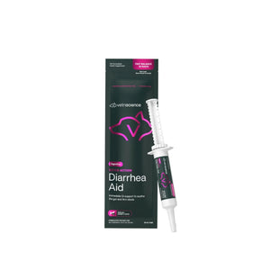 VetriScience Quick Action Digestive Support Paste 35cc syringe for dogs and cats with probiotics and B vitamins