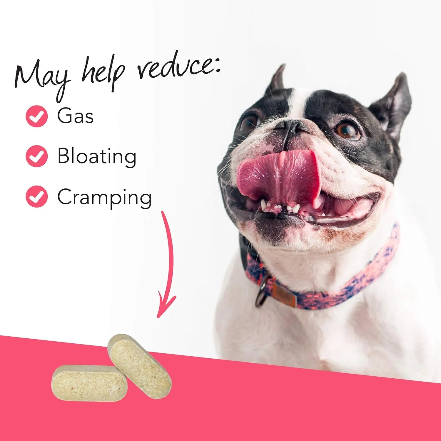 VetriScience Vetri Probiotic BD chewable tablets for dogs with probiotics and digestive enzymes